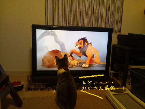 《最哭的迪士尼動畫電影》誰說我哭點很低是眼睛進沙了好嘛