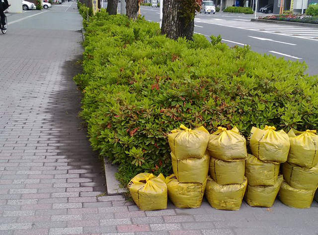 《鹿兒島居民才知道的黃色塑膠袋》絕對不是拿來裝垃圾的啊~ 《鹿兒島居民才知道的黃色塑膠袋》絕對不是拿來裝垃圾的啊~