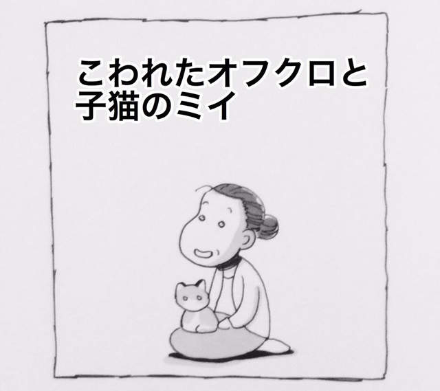 《失智症的母親與小貓》直擊淚腺的有洋蔥漫畫... 《失智症的母親與小貓》直擊淚腺的有洋蔥漫畫...