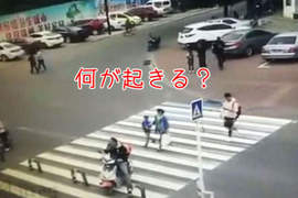 《斑馬線上的意外事故》超展開的突發生你能猜得到嗎? 《斑馬線上的意外事故》超展開的突發生你能猜得到嗎?