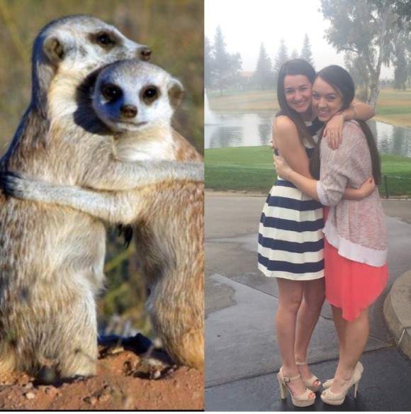 《女生vs狐獴》原來兩者的拍照習性（？）如此相似啊www