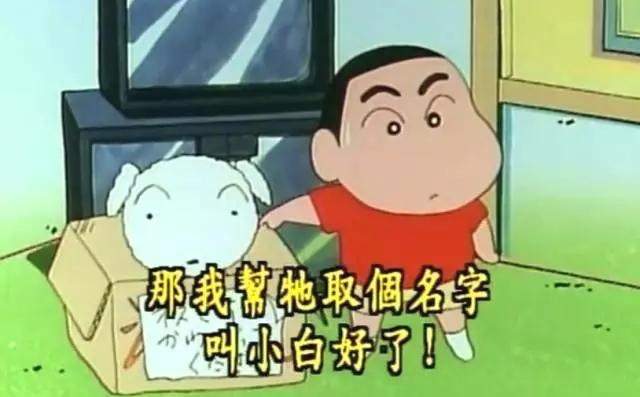 因為《男友把寵物名稱取成一堆調味料》而解除婚約 覺得人生好難... 因為《男友把寵物名稱取成一堆調味料》而解除婚約 覺得人生好難...