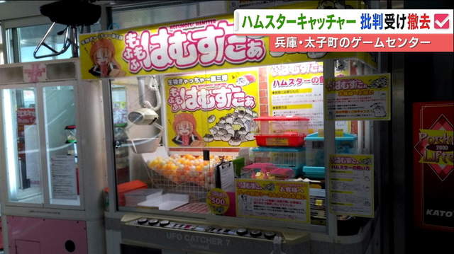 日本出現《夾倉鼠機》夾娃娃機的活體景品問題大炎上