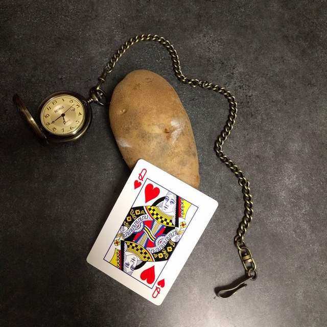 倒底瞌了什麼《讓馬鈴薯當迪士尼公主》認得出這顆是哪個公主嗎？