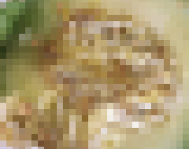 閱覽注意《恐怖哈密瓜》比起原因更讓人在意吃起來什麼味道ww 閱覽注意《恐怖哈密瓜》比起原因更讓人在意吃起來什麼味道ww