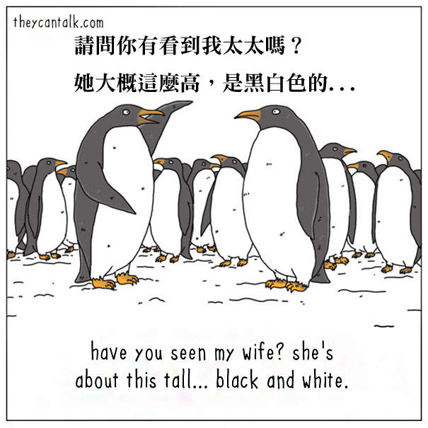 《如果動物會說話》趴兔　原來牠們都這麼想啊...