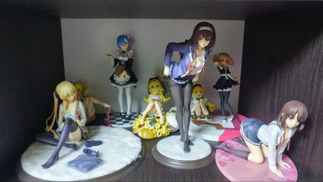 我終於買新的展櫃了《韓國宅宅感動分享模型大遷移》看得我也熱淚盈眶