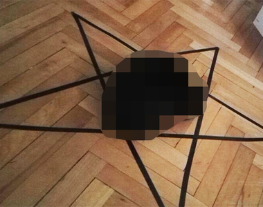 男子實驗《貓咪傳送裝置》無效 竟意外發現貓咪的駭人真面目...!? 男子實驗《貓咪傳送裝置》無效 竟意外發現貓咪的駭人真面目...!?