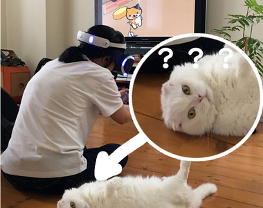 這是未來嗎?《貓咪收集 VR》喵星人:臭貓奴,不理我給我去玩虛擬的... 這是未來嗎?《貓咪收集 VR》喵星人:臭貓奴,不理我給我去玩虛擬的...