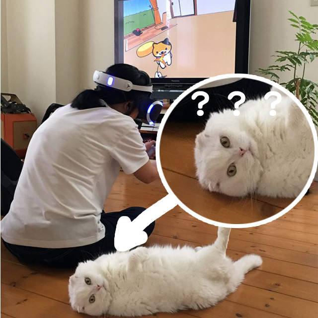 這是未來嗎?《貓咪收集 VR》喵星人:臭貓奴,不理我給我去玩虛擬的... 這是未來嗎?《貓咪收集 VR》喵星人:臭貓奴,不理我給我去玩虛擬的...