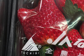 長相特異的水果《貓咪形狀的草莓》就算變成網友塗鴉大賽也太可愛了吧~ 長相特異的水果《貓咪形狀的草莓》就算變成網友塗鴉大賽也太可愛了吧~