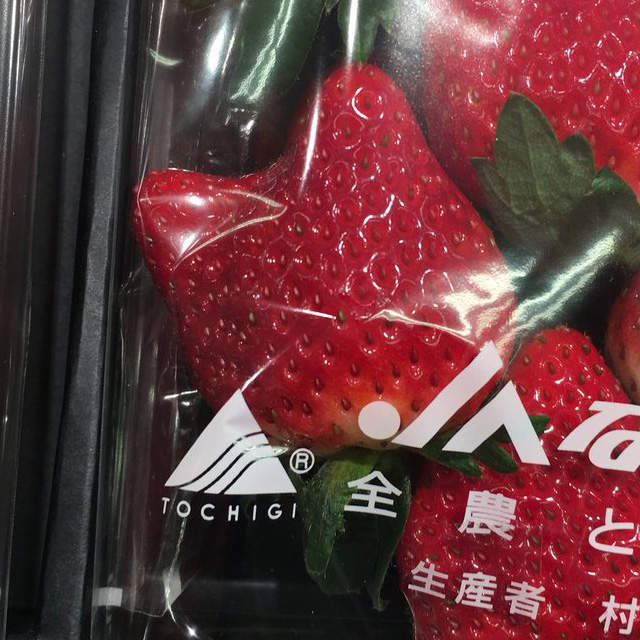 長相特異的水果《貓咪形狀的草莓》就算變成網友塗鴉大賽也太可愛了吧～