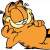 10隻橘貓9隻胖，還有這隻特別胖《加菲貓》全新動畫電影製作決定，又懶又肥吃貨貓要回來惹