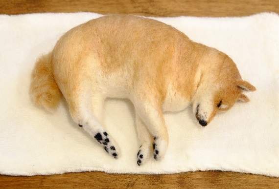 推特瘋傳《睡得很香的羊毛氈柴犬》彷彿下一秒就會醒來搖尾巴♡