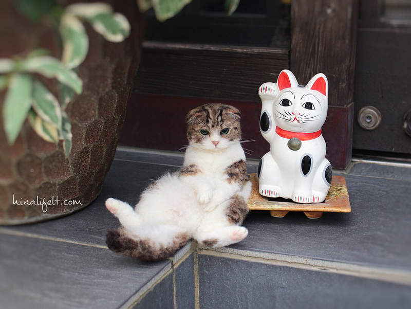 超逼真《貓咪羊毛氈》好像下一秒就會動起來一樣啊~ 超逼真《貓咪羊毛氈》好像下一秒就會動起來一樣啊~