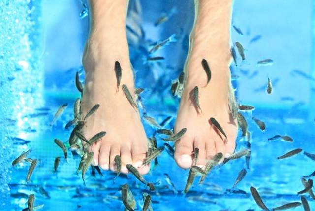 到底有多臭辣《中國男子十年沒洗腳讓吃腳皮魚滅亡》已經是個都市傳說了 到底有多臭辣《中國男子十年沒洗腳讓吃腳皮魚滅亡》已經是個都市傳說了