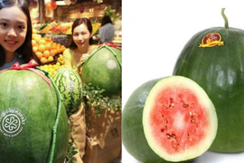 不用吃兩顆吃一顆就OK的《巨無霸西瓜》包準你廁所跑不完 不用吃兩顆吃一顆就OK的《巨無霸西瓜》包準你廁所跑不完