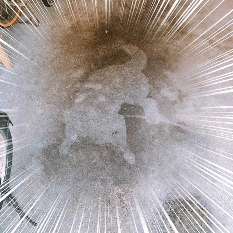 地上出現《犬拓》完全案發現場的印記　狗狗牠到底發生了什麼事！？