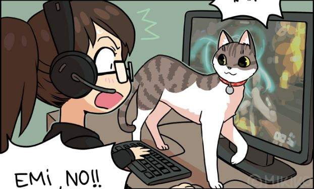 ㄧ貓一男友《日裔德籍漫畫家的日常》最強閃光彈跟貓奴的組合好羨慕