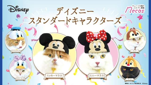 《迪士尼明星貓咪頭套》讓家中的貓主子變成可愛的米奇吧