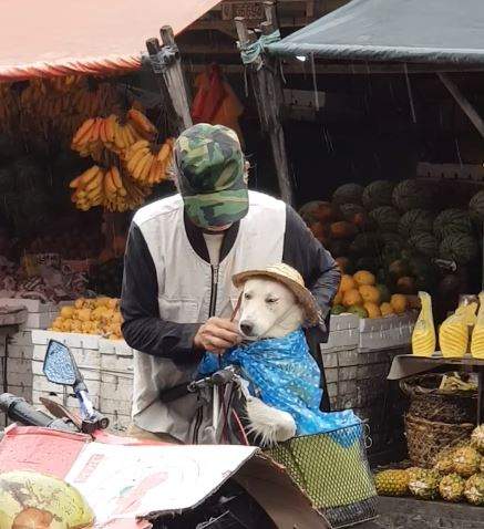 市場中超暖心畫面《主人幫狗狗擋雨三步驟》我...才沒有哭♥
