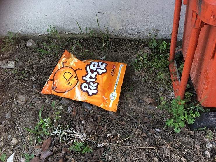 【慎入文】在路邊看到一包《餅乾袋》 韓國發生恐怖虐貓事件 【慎入文】在路邊看到一包《餅乾袋》 韓國發生恐怖虐貓事件