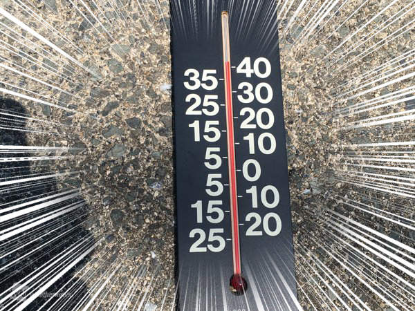 《日本猛暑的威力》凹陷的車屁股都熱到自己復原惹ww 《日本猛暑的威力》凹陷的車屁股都熱到自己復原惹ww