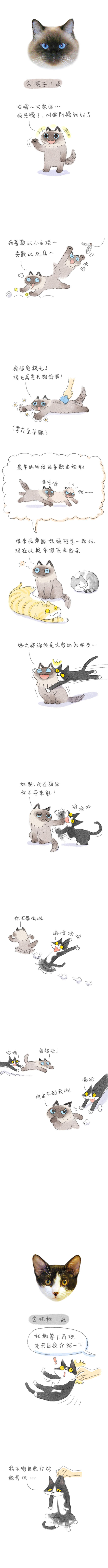 貓貓五四三 第3話 貓貓五四三 第3話