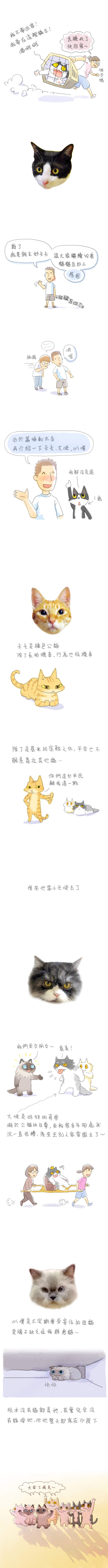 貓貓五四三 第5話 貓貓五四三 第5話