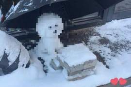 網友在《雪地裡發現一隻可憐小狗》結果走進一看才發現原來是...... 網友在《雪地裡發現一隻可憐小狗》結果走進一看才發現原來是......