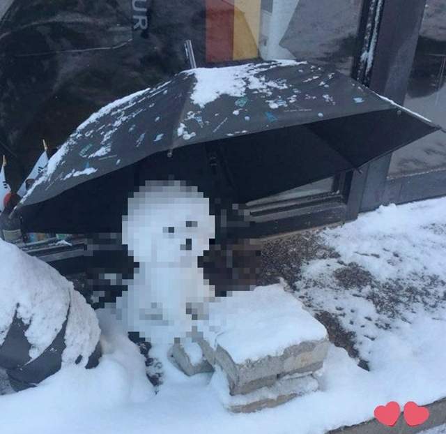 網友在《雪地裡發現一隻可憐小狗》結果走進一看才發現原來是...... 網友在《雪地裡發現一隻可憐小狗》結果走進一看才發現原來是......