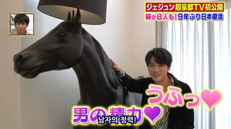 日本綜藝公開《金在中新家》家裡那匹馬意外成為男主角