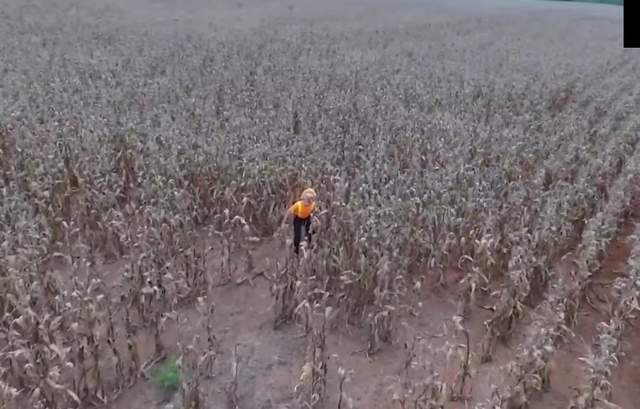 《無人機拍到最嚇人的畫面》在沒人的地方展現自我都會被拍到... 《無人機拍到最嚇人的畫面》在沒人的地方展現自我都會被拍到...