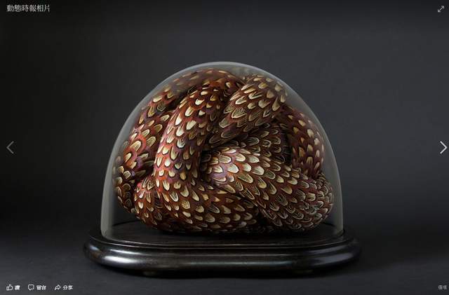 《羽毛雕塑》像極了蛇捲曲的身體但其實不是喔