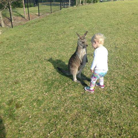 不只大人要對決《小袋鼠與小孩的戰爭》宣布正~式~開~戰~ 不只大人要對決《小袋鼠與小孩的戰爭》宣布正~式~開~戰~