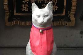 貓的神社《美喜井稲荷神社》供奉的稻荷神竟然不是狐狸而是貓咪!? 貓的神社《美喜井稲荷神社》供奉的稻荷神竟然不是狐狸而是貓咪!?