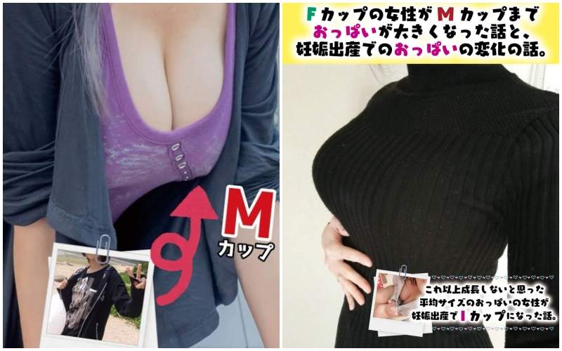 C95《巨乳成長譚本》自稱宇宙第一熱愛歐派的同人作者出本記錄巨乳的成長過程&形成原因 C95《巨乳成長譚本》自稱宇宙第一熱愛歐派的同人作者出本記錄巨乳的成長過程&形成原因