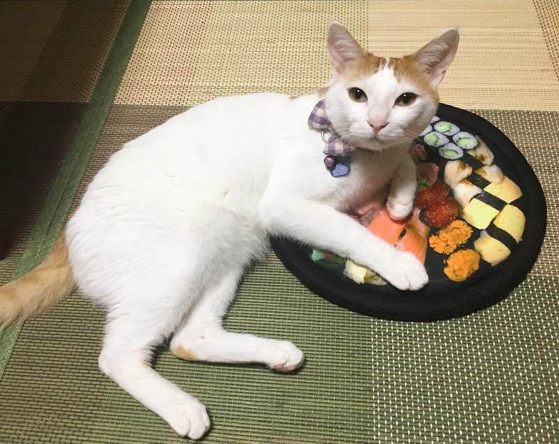 《當貓咪遇到壽司坐墊》看起來好好吃啊～我要吃我要吃（舔舔舔）