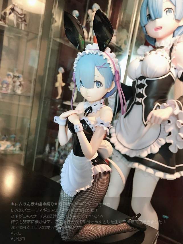 《把雷姆娶回家》對一個角色有多愛從房間就可以看出來