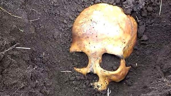 老公在花園挖出《死人骨頭》慌張問妻子卻意外發現這骨頭是... 老公在花園挖出《死人骨頭》慌張問妻子卻意外發現這骨頭是...