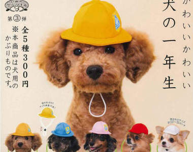 狗狗頭套轉蛋《狗狗一年級生》超懷念的小學帽讓狗狗戴上入學去♪ 狗狗頭套轉蛋《狗狗一年級生》超懷念的小學帽讓狗狗戴上入學去♪
