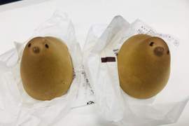 看不出差別的《小雞饅頭》福岡小雞跟東京小雞到底哪裡不一樣? 看不出差別的《小雞饅頭》福岡小雞跟東京小雞到底哪裡不一樣?
