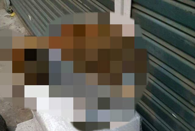 接連零下溫度《韓國路邊出現站在暖暖包上的浪浪》朕的肉球要結凍了