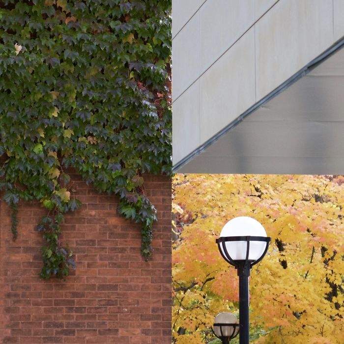 沒有經過任何後製《無P圖的奇妙照片》看起來好像合成圖喔(驚嘆) 沒有經過任何後製《無P圖的奇妙照片》看起來好像合成圖喔(驚嘆)