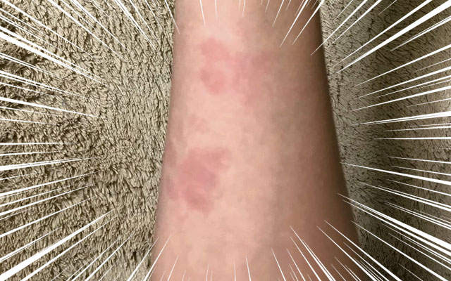 《貓肉球印事件簿》一覺醒來身上就多了這些愛的印記(〃∀〃) 《貓肉球印事件簿》一覺醒來身上就多了這些愛的印記(〃∀〃)