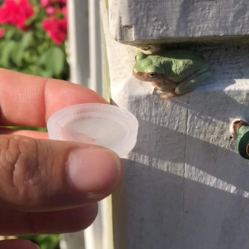 天氣這麼熱《為小青蛙獻上水》結果小青蛙就... 天氣這麼熱《為小青蛙獻上水》結果小青蛙就...