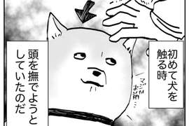 《跟狗狗打好關係的技巧》原本怕狗的人也在不知不覺中變成了狗痴❤ 《跟狗狗打好關係的技巧》原本怕狗的人也在不知不覺中變成了狗痴❤