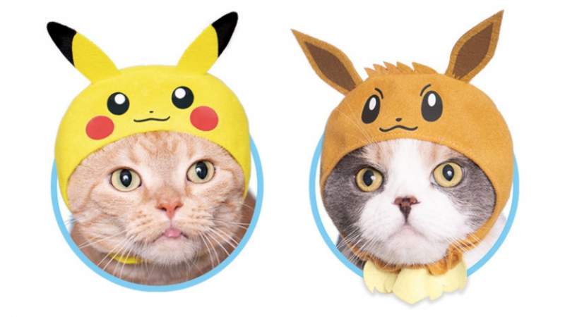 大人氣扭蛋《精靈寶可夢貓咪頭套》為吃飽睡睡飽吃度過每一天的肥貓獻上「卡比獸」頭套w 大人氣扭蛋《精靈寶可夢貓咪頭套》為吃飽睡睡飽吃度過每一天的肥貓獻上「卡比獸」頭套w