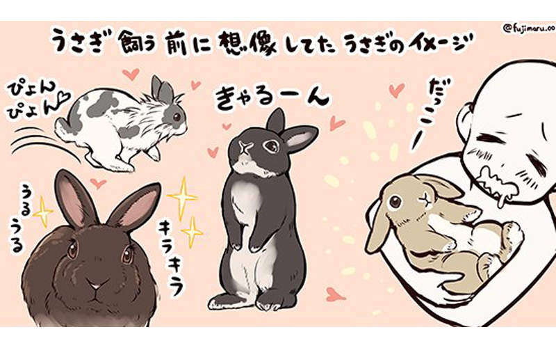 《養兔子的理想與現實》原來是有著可愛外表的毛毛暴君...ww 《養兔子的理想與現實》原來是有著可愛外表的毛毛暴君...ww