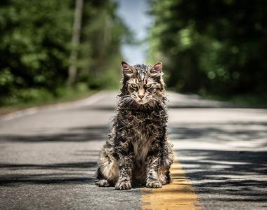 史蒂芬金《禁入坟场》新版预告公开 死人就该